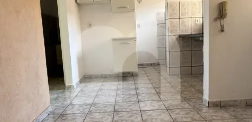 Apartamento para Alugar Jardim Primavera