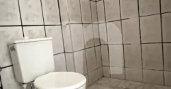 Apartamento para Alugar Jardim Primavera